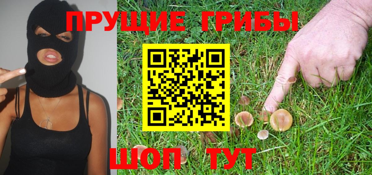 Псилоцибиновые грибы Magic Shrooms  Вход с VPN  где купить наркоту  Гурьевск 