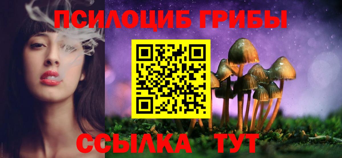 Галлюциногенные грибы Magic Shrooms Гурьевск